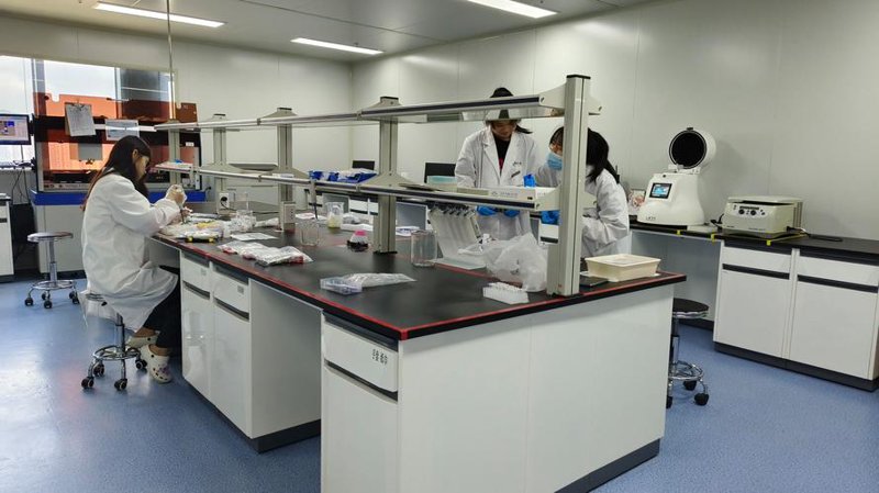 创新引领未来：生物技术服务在医疗健康领域的应用