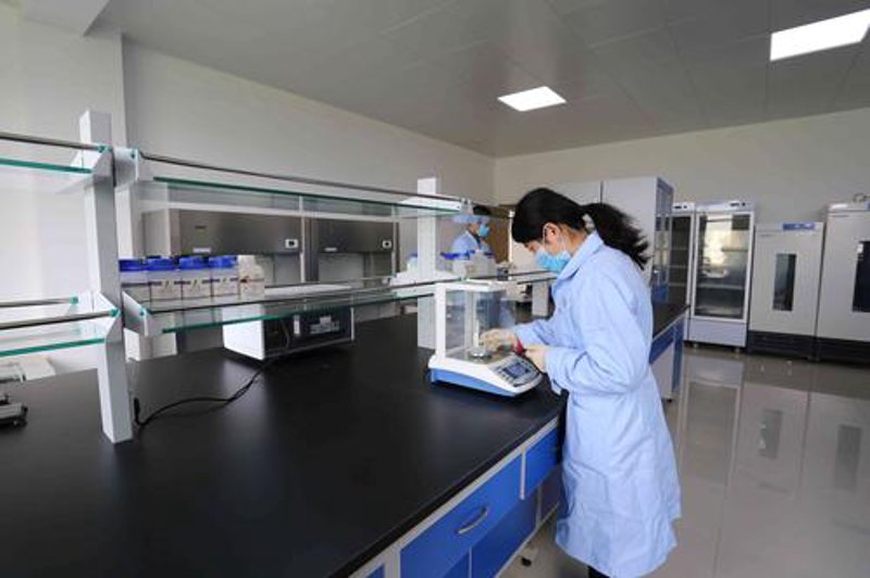广州生物科技：未来科技的绿色引擎
