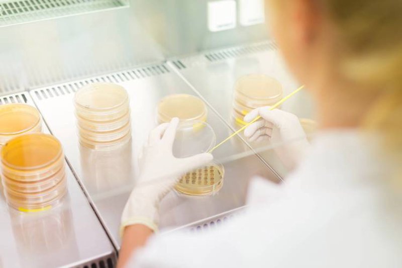 生物技术服务：推动生命科学的创新引擎