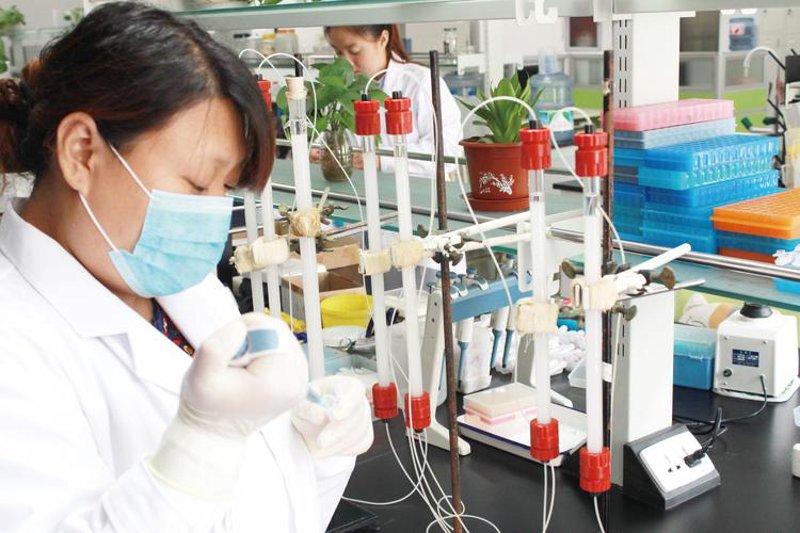 生物科技，开启广州未来之窗